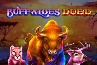 Buffaloes Duel